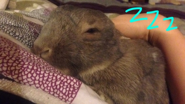 Van erre a mostani időjárásra jó szó?