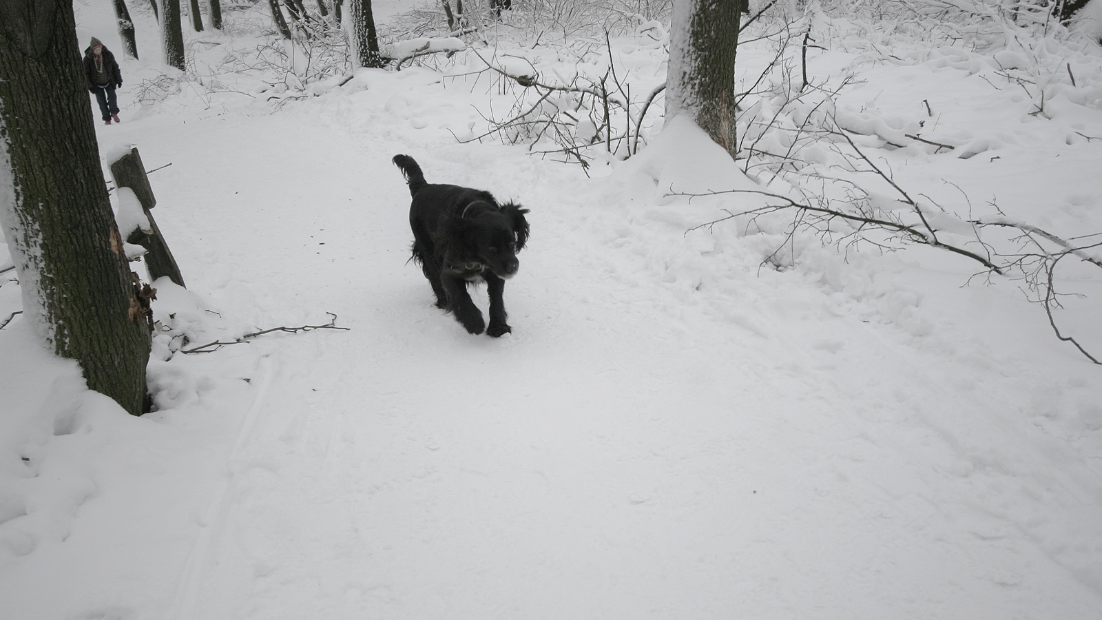 Illustration for article titled Itt a tél, és egyébként mindenki azt ír, amit akar, csak írjon!
