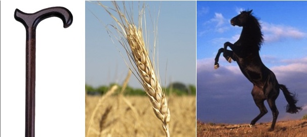 Illustration for article titled BOT - KALÁSZ - LÓ / A férfi aki itt áll!