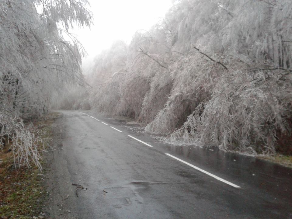 Szépnek szép, első ránézésre, de ez aztán egyáltalán nem jó nekünk