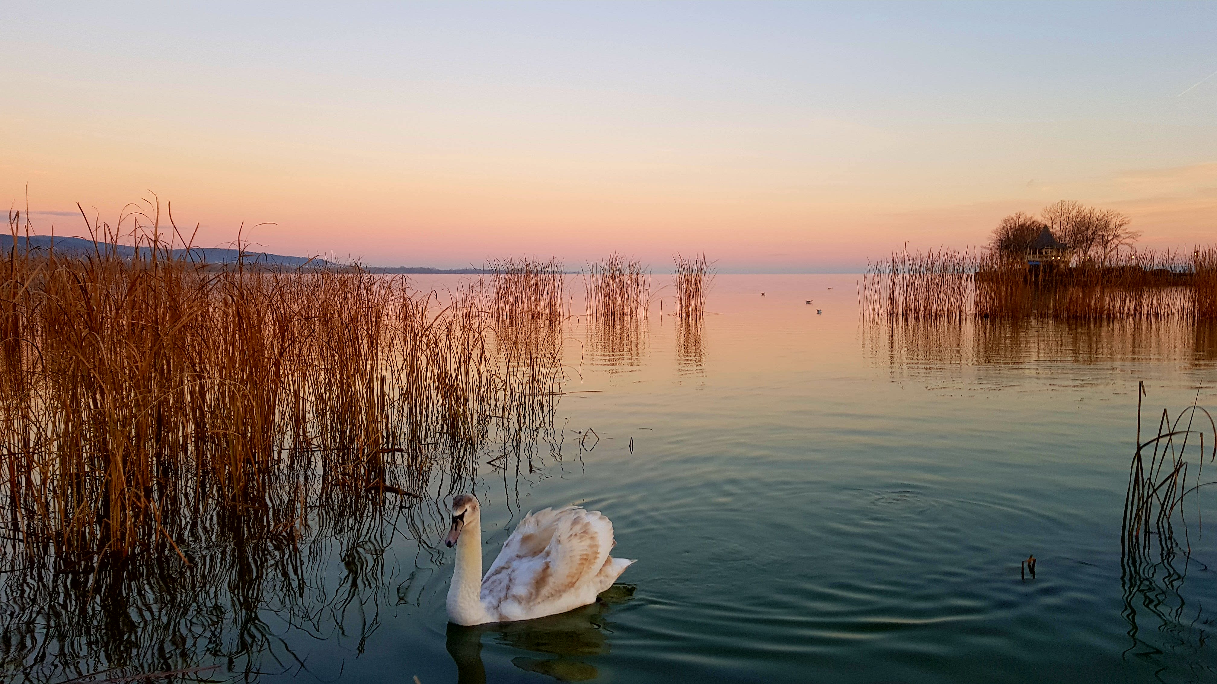 Illustration for article titled Hát akkor....ELSŐ!!