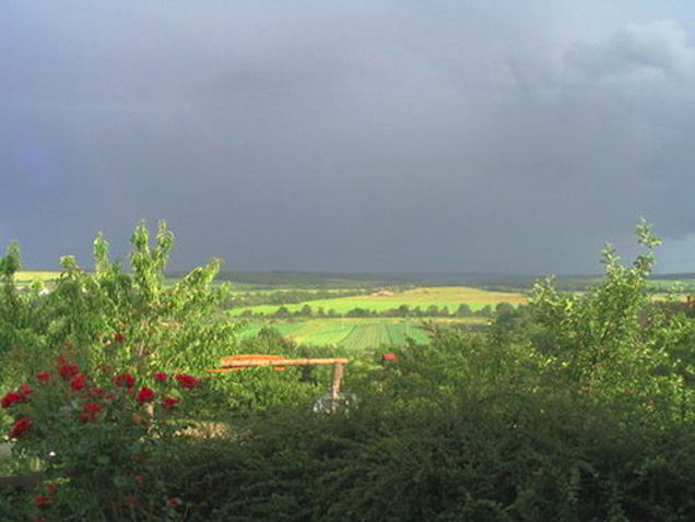 Illustration for article titled Sose gondoltam volna, hogy csárdák menthetnek meg a keserű csalódástól