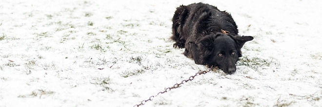 Illustration for article titled Politikonc - 2016#1