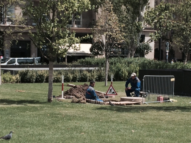 Illustration for article titled Pusztulnak a frissen ültetett fák a Parlamentnél