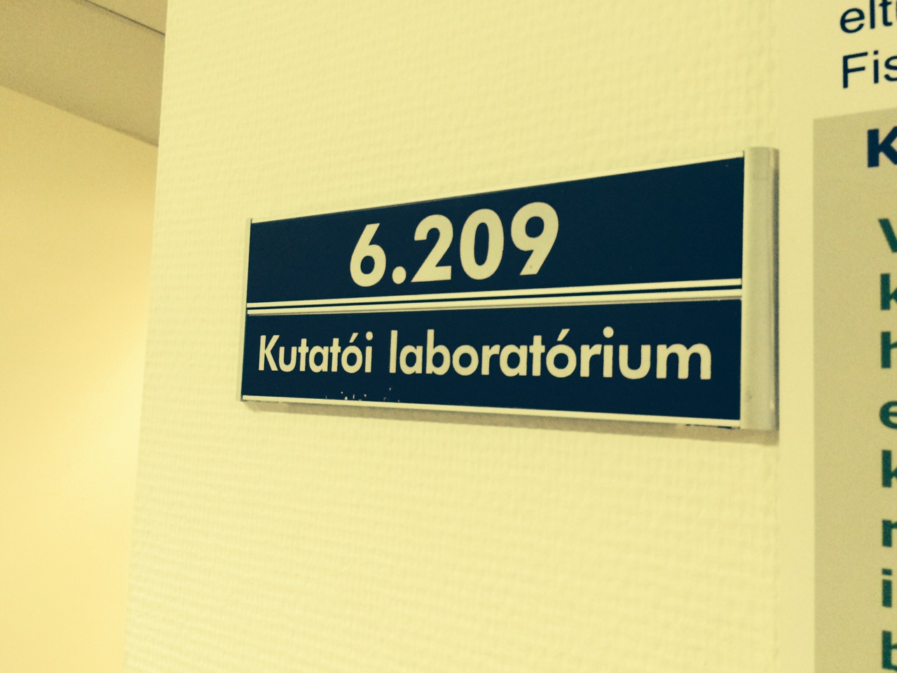 Illustration for article titled Tényleg ilyen hülyék lennének a kutyák?