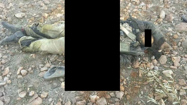 Az MTI megélhetésibevándorlózása most már inkább undorító, mint vicces