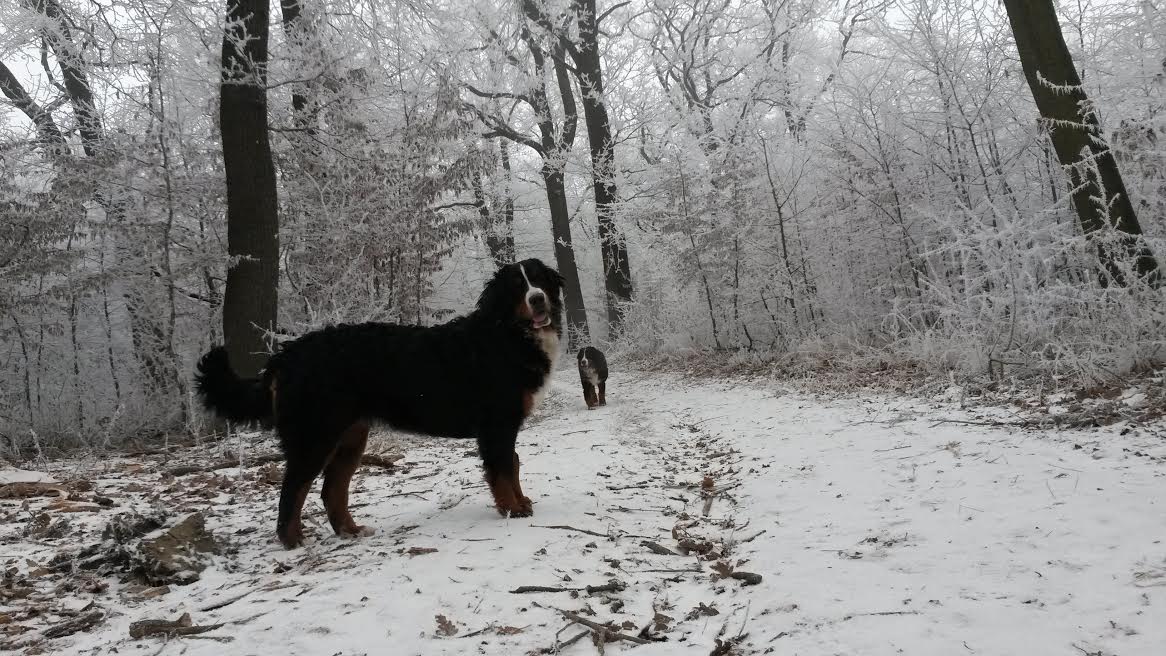 Illustration for article titled Időjárásjelentés