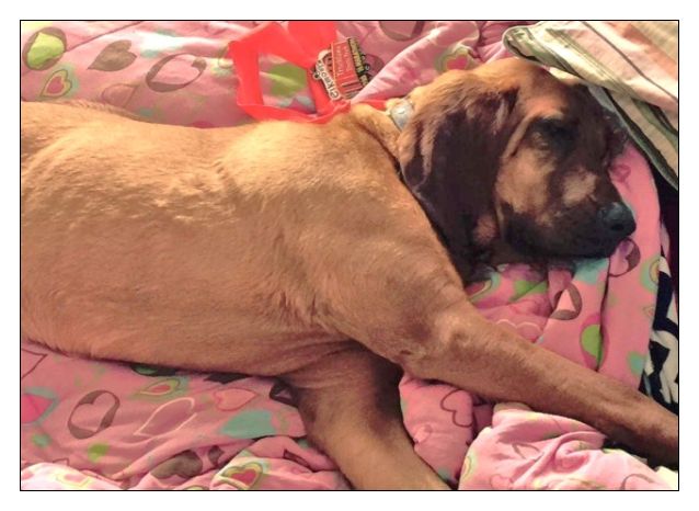 Illustration for article titled A blöki, aki véletlenül hetedik lett a fél-maratonon