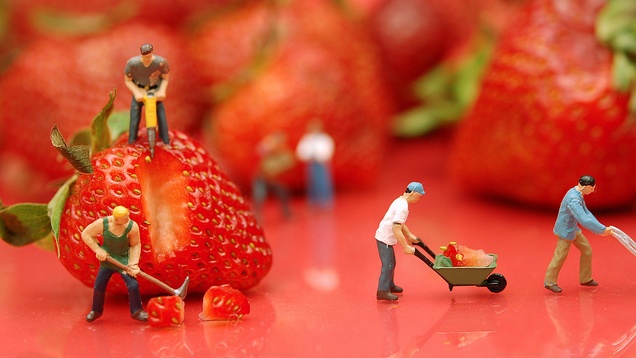 Workfare state: Magyarország új államszervezeti rendjének angol neve