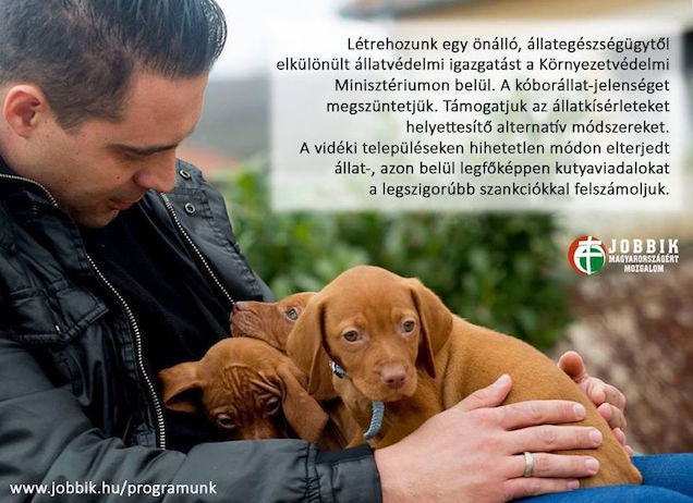 A Jobbik nem is cuki, csak úgy tesz, hogy szeressék őt a nagymamák!
