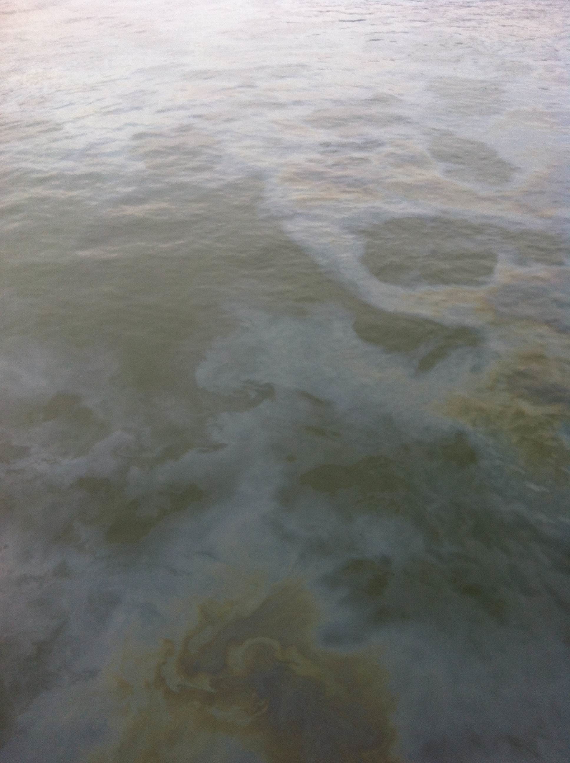 Illustration for article titled Ronda olajfolt úszik a fővárosi Dunán