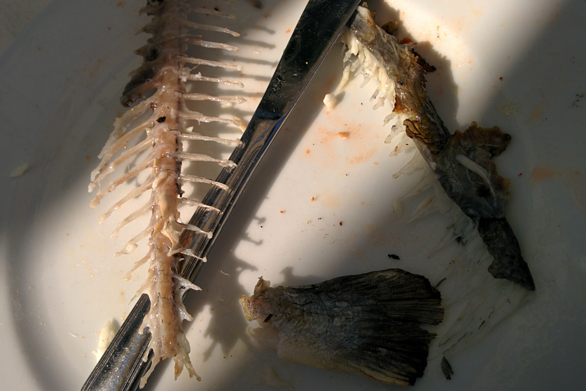 Illustration for article titled Bolgár Riviéra Top 10 – járjuk be együtt a Napospart napos oldalát!