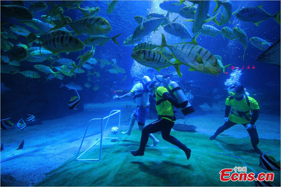 Illustration for article titled Minden csak pénzkérdés! TEQBALL Ronaldinhóval