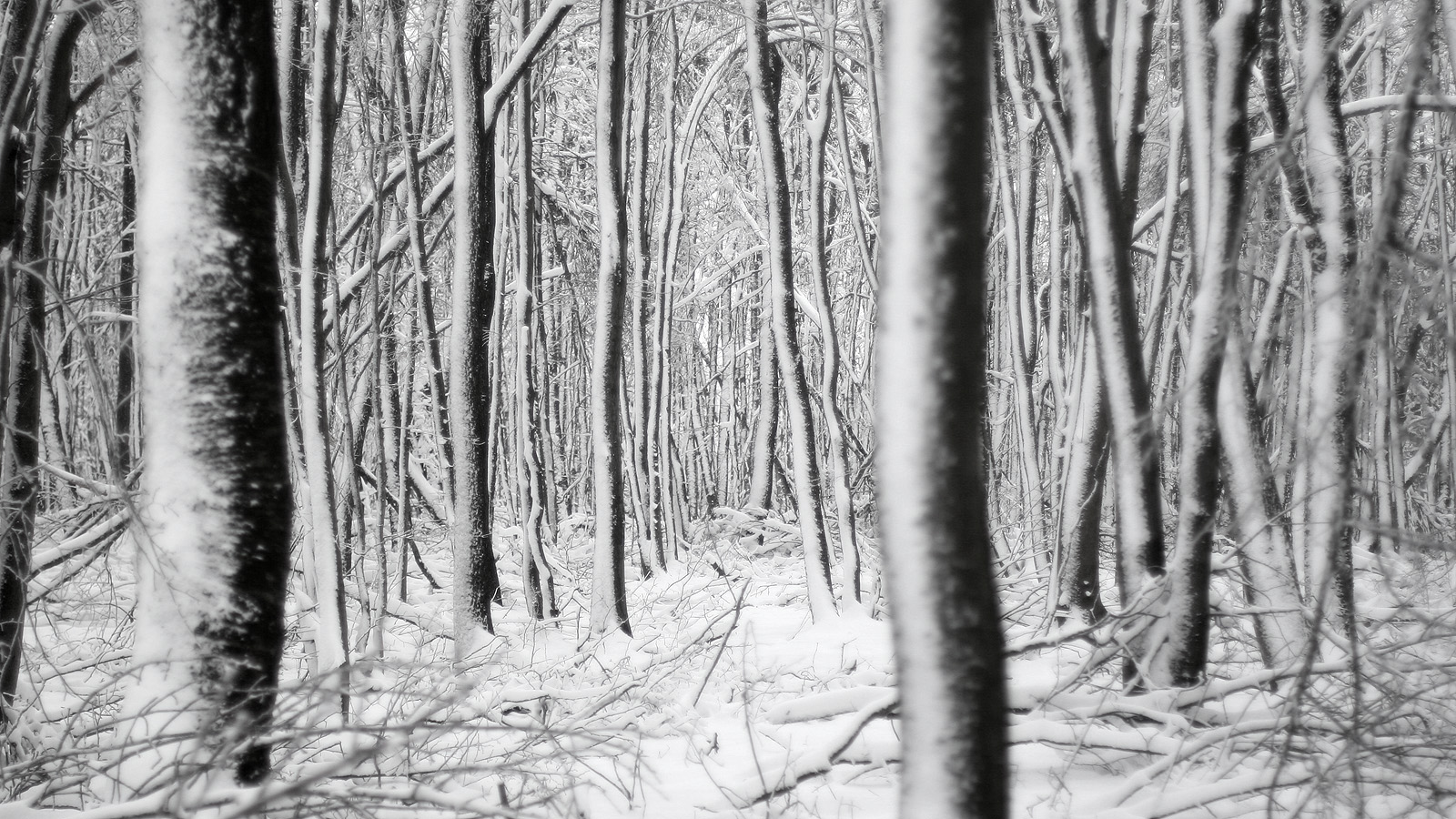 Illustration for article titled Itt a tél, és egyébként mindenki azt ír, amit akar, csak írjon!