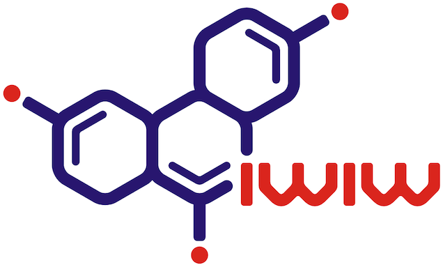 Gyásznap: holnap éjfélkor bezár az iWiW