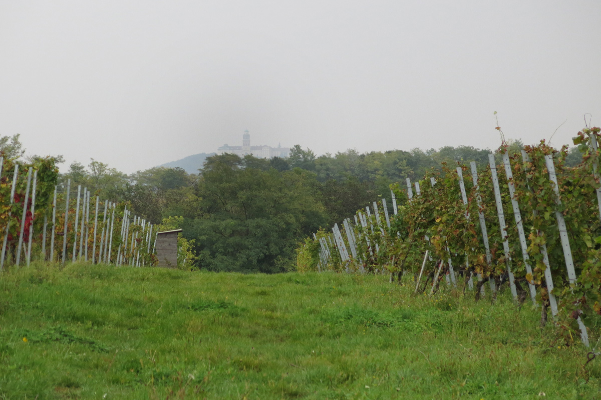 Illustration for article titled Papbor