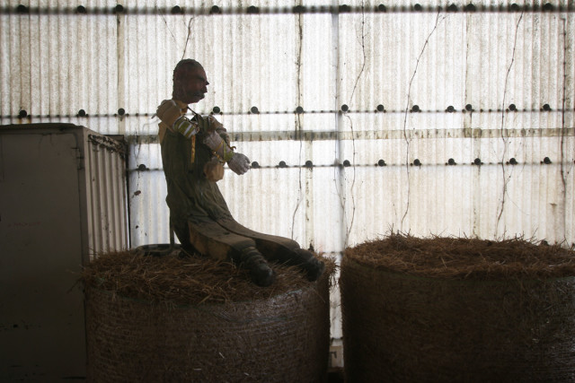 Illustration for article titled Egyelőre Tarr Béla-park lesz a Vidámpark helyén