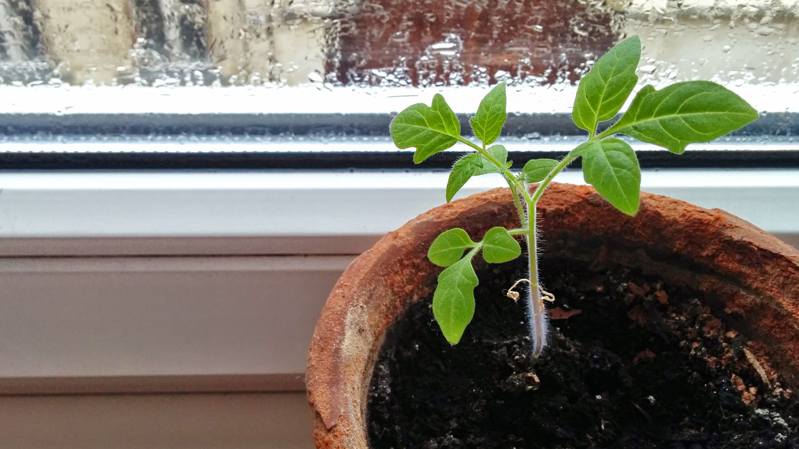 Megzaboláztam a természet fékezhetetlen erejét