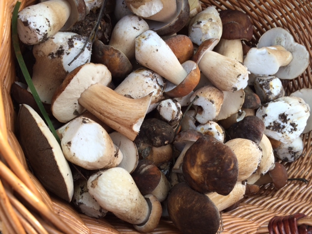 Pornóforgatáson veszítettem el a szüzességem