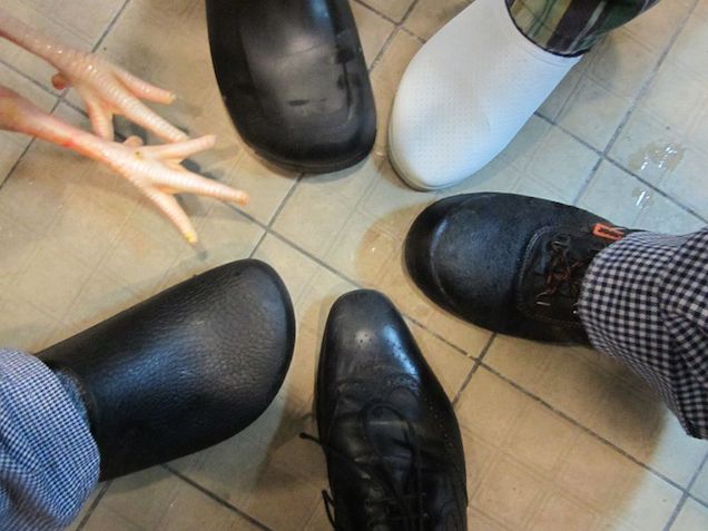 Illustration for article titled Michelin ide, csillag oda, a Borkonyha teljesen megvadult