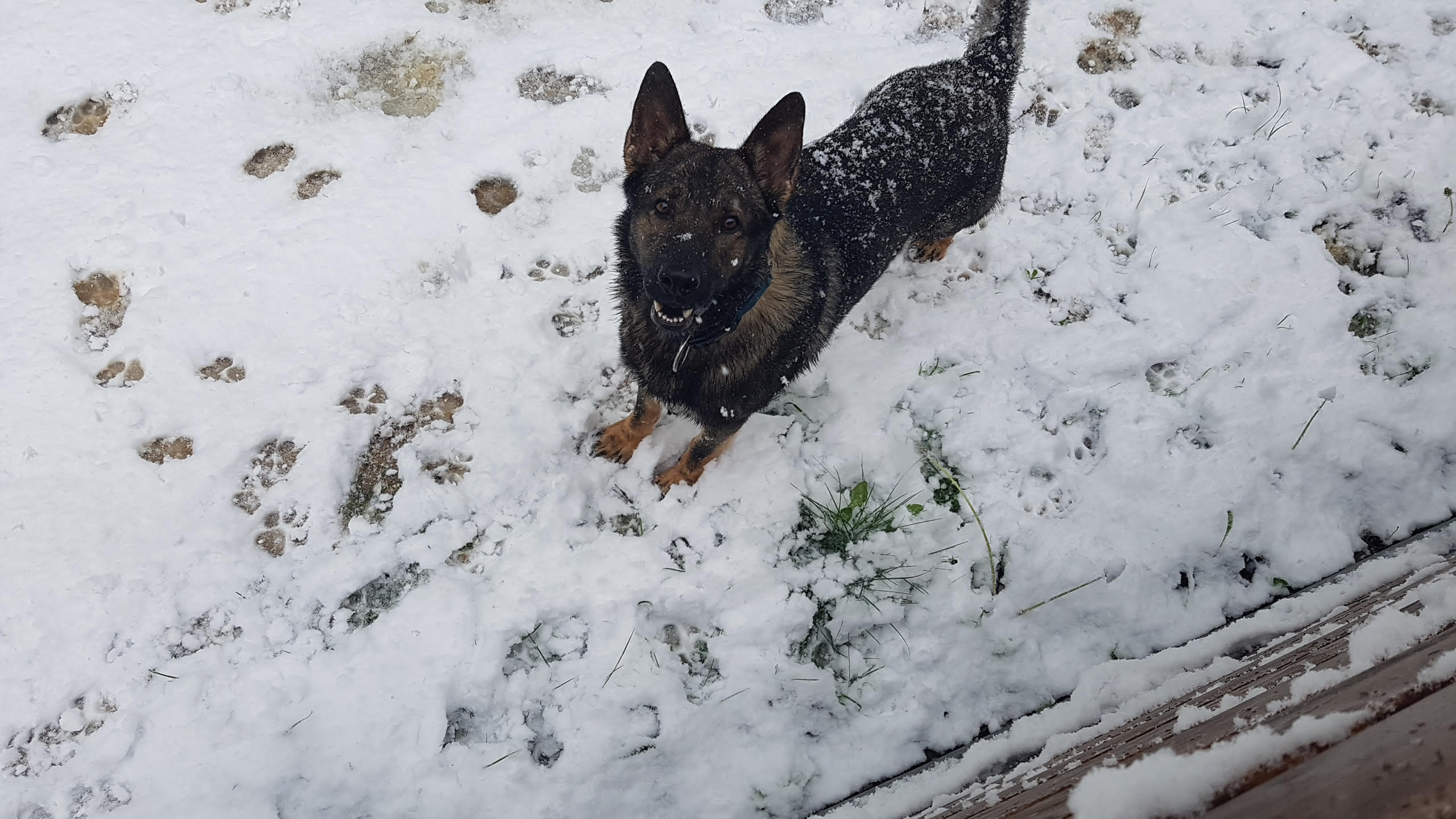 Csókolom! Aranka lejöhet játszani?