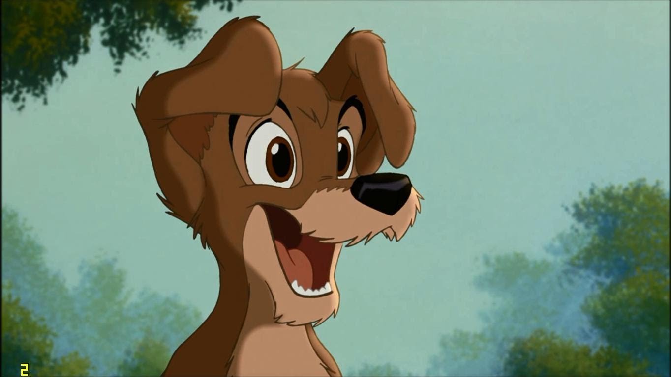 Amit az Új Vasfüggönyről pillanatnyilag tudni lehet