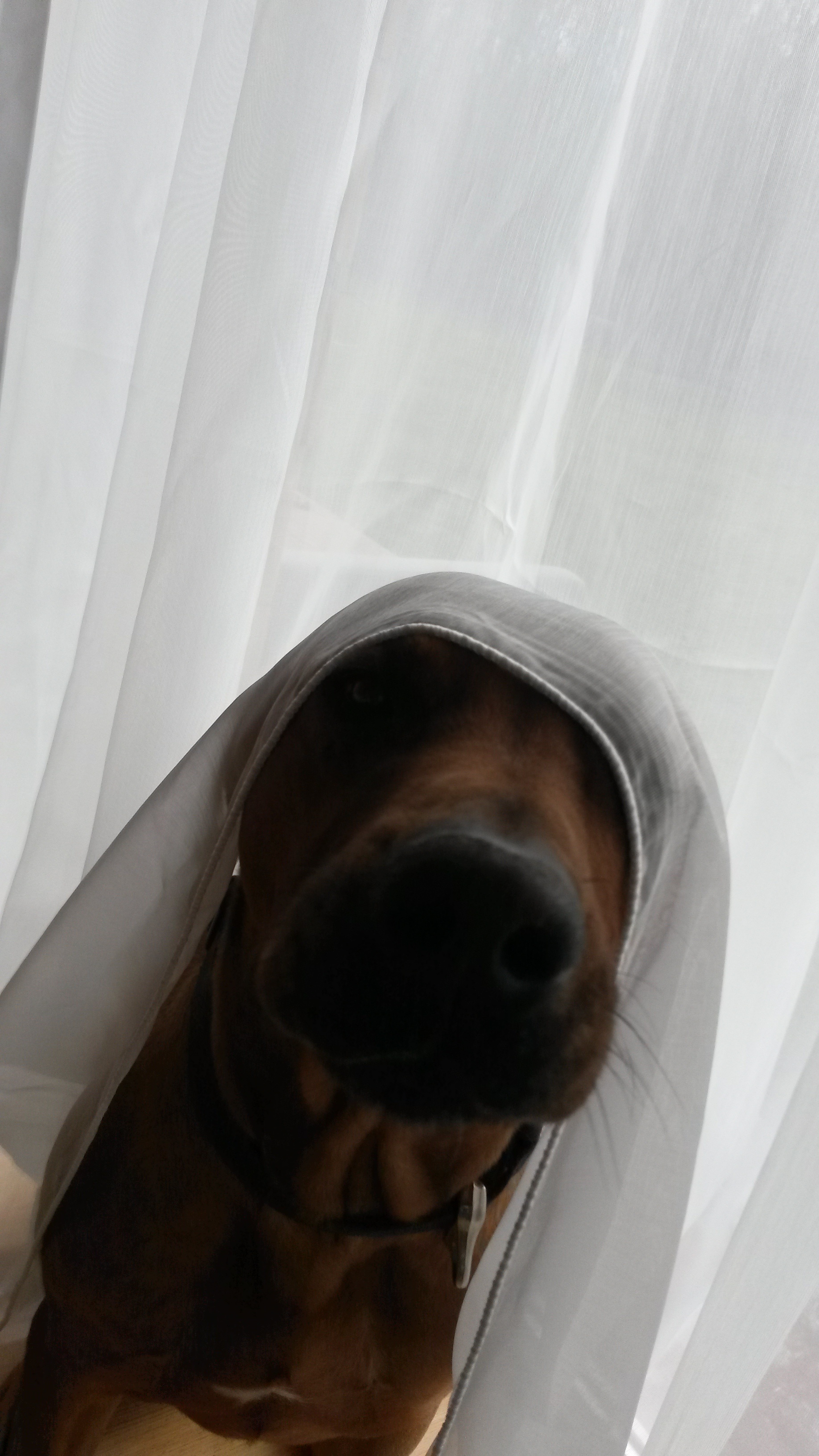 Mécsesfényben írt gondolatok egy szülinap margójára