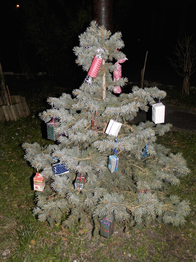 Megszámoltuk a karácsonyfákat, és Magyarország nem reménytelen hely
