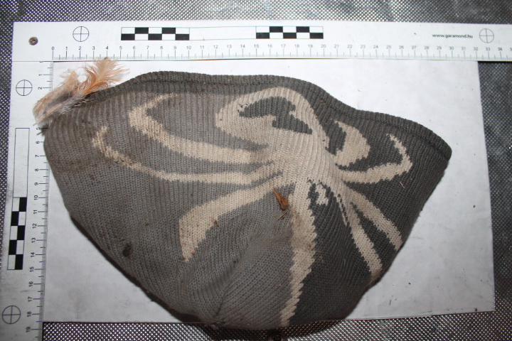 Illustration for article titled Csirkefejek a porban