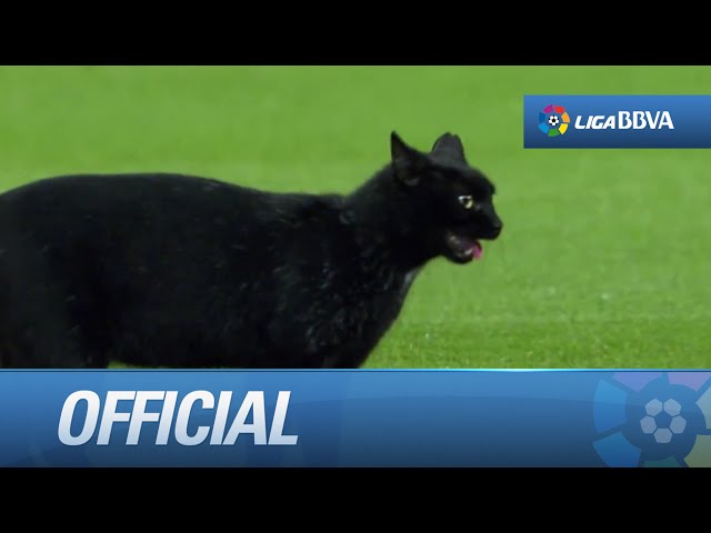 Muszáj még egy Szily László-sat posztolnom éjszakára, kész őrület