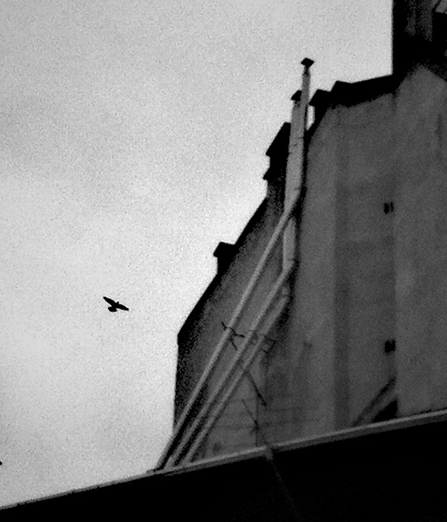 Illustration for article titled Tessék, itt van Budapest leghülyébb kéménye