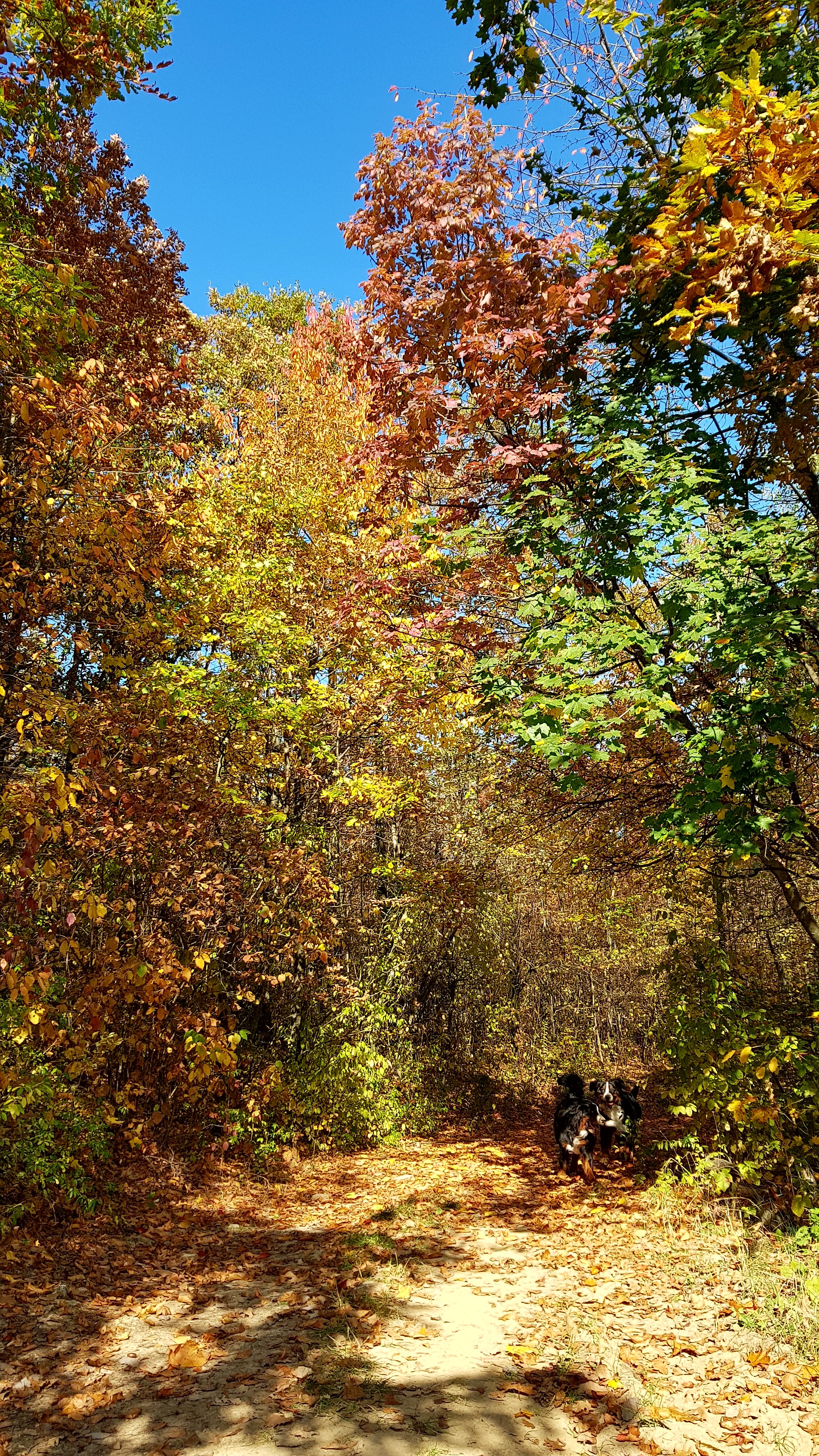 Illustration for article titled Időjárásjelentés