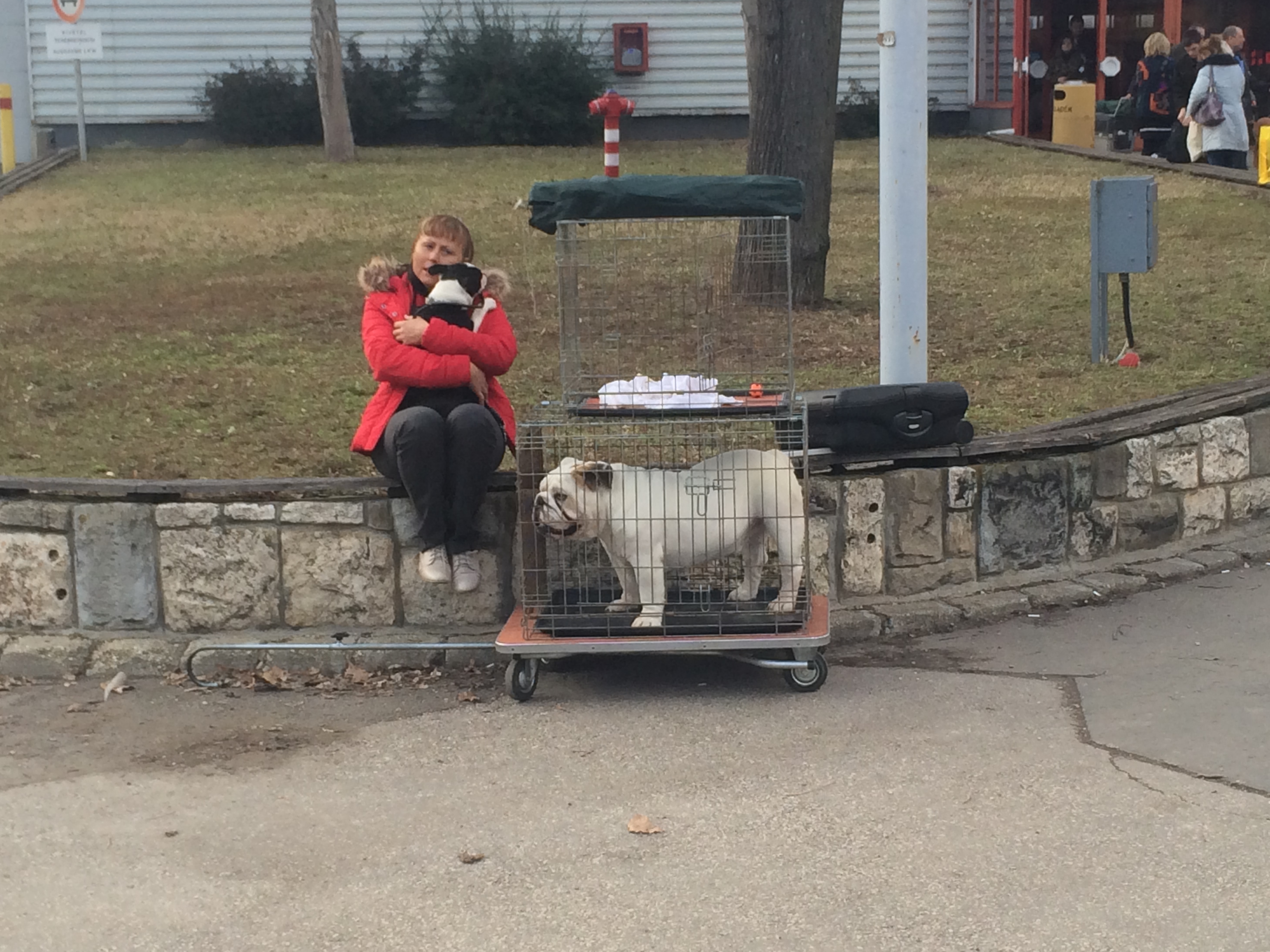 Illustration for article titled Így buliznak döglött állatokkal az ország legidiótábban öltözött emberei