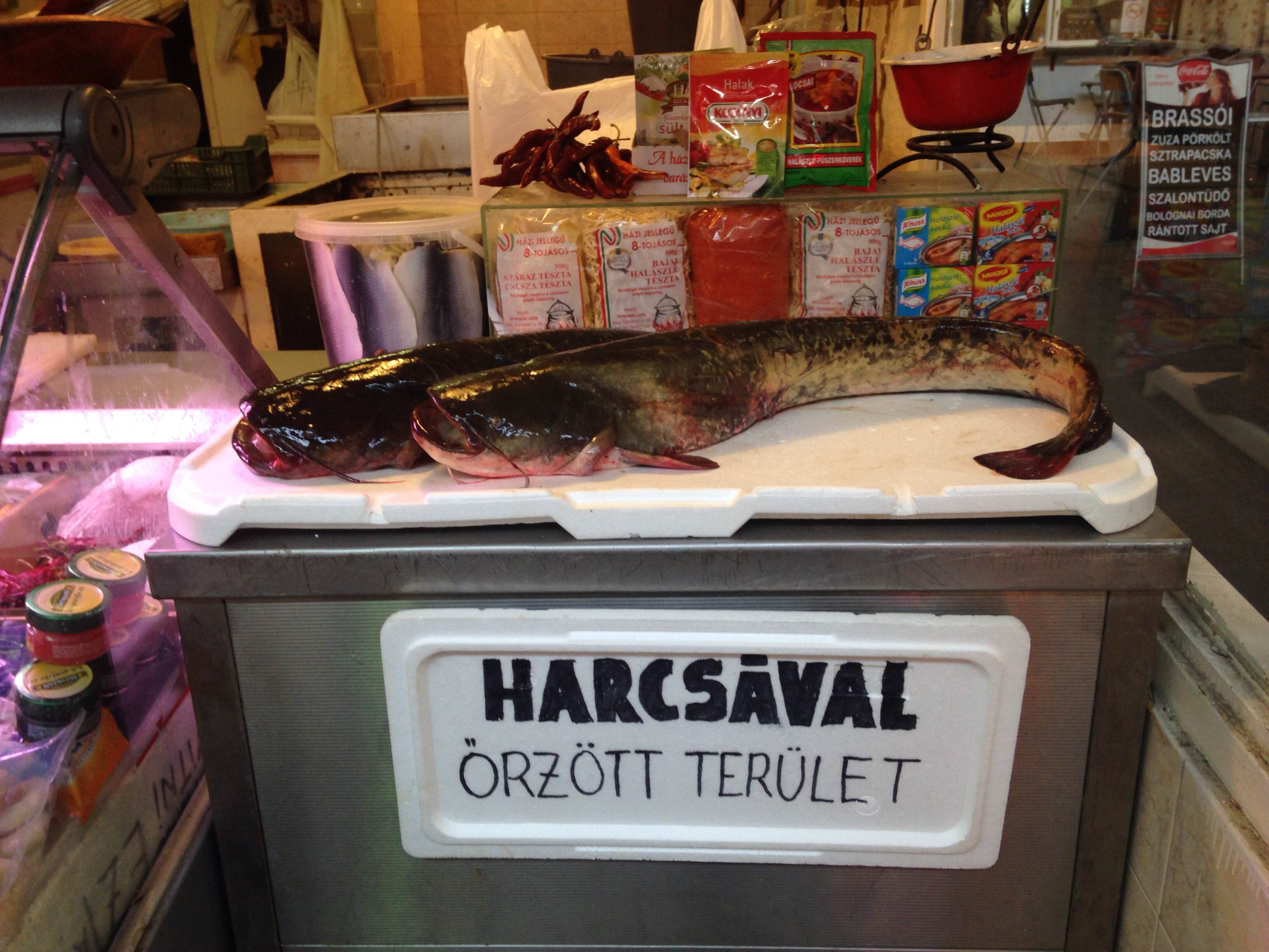 A budapesti kofahumor sosem halhat ki!