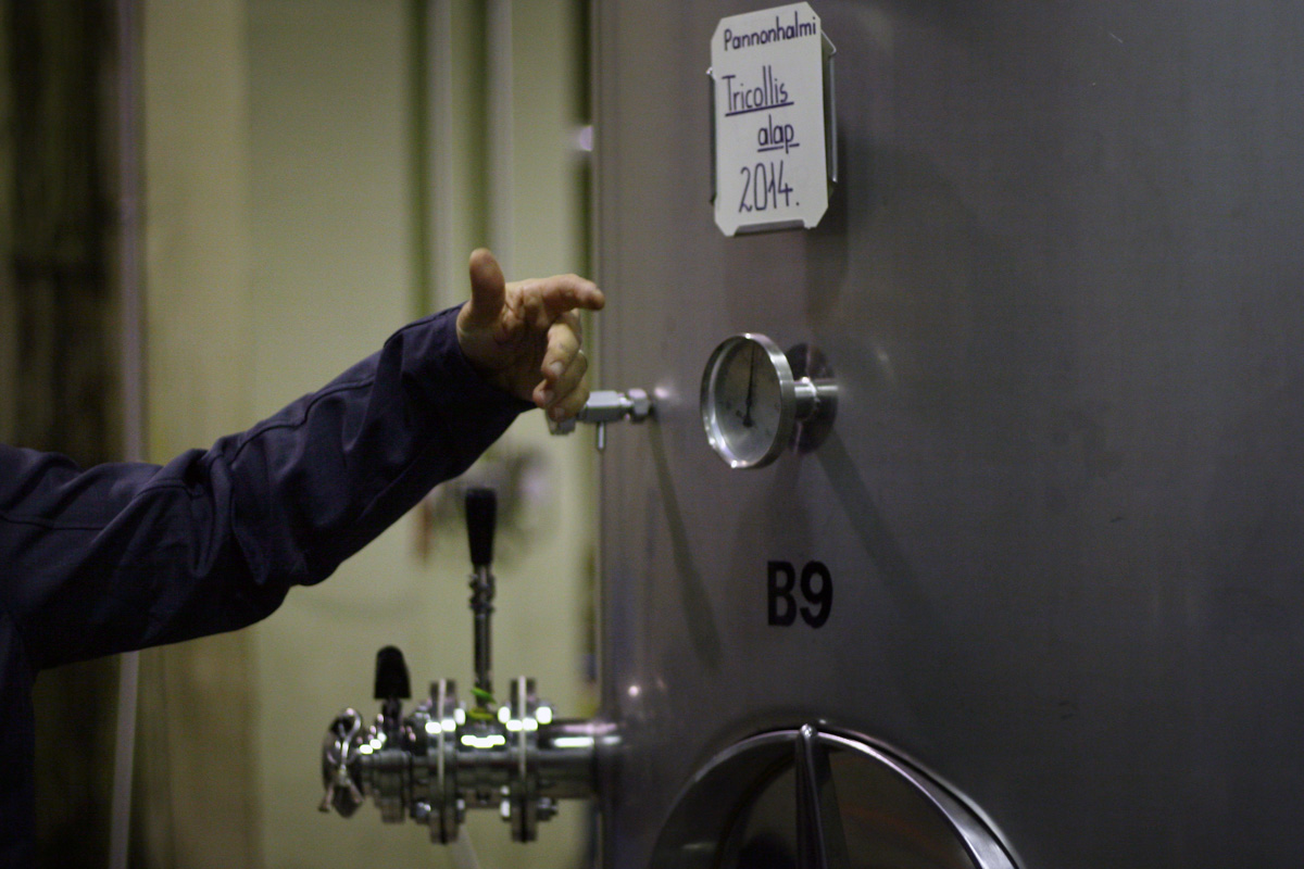 Illustration for article titled Papbor