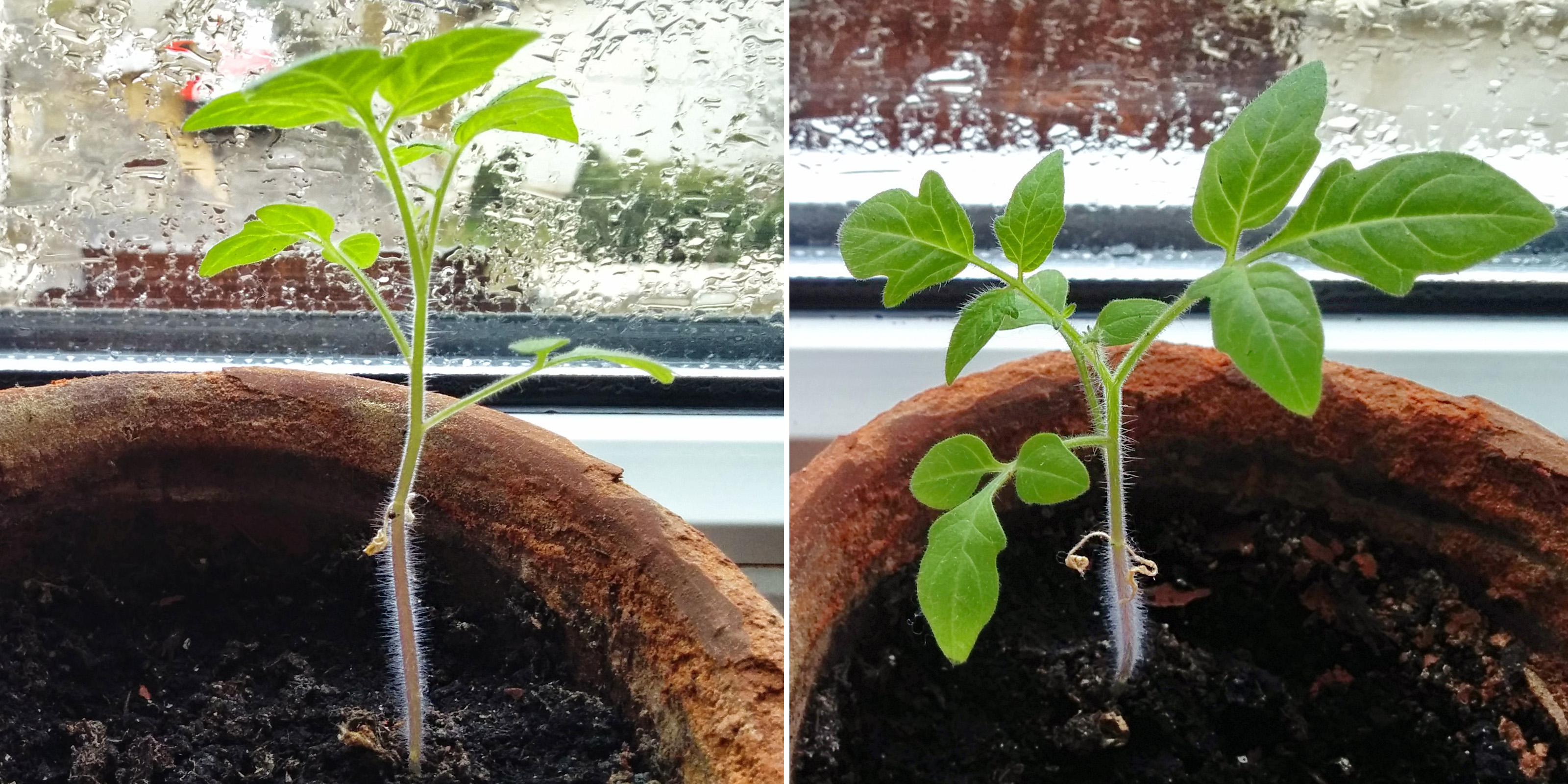 Illustration for article titled Megzaboláztam a természet fékezhetetlen erejét