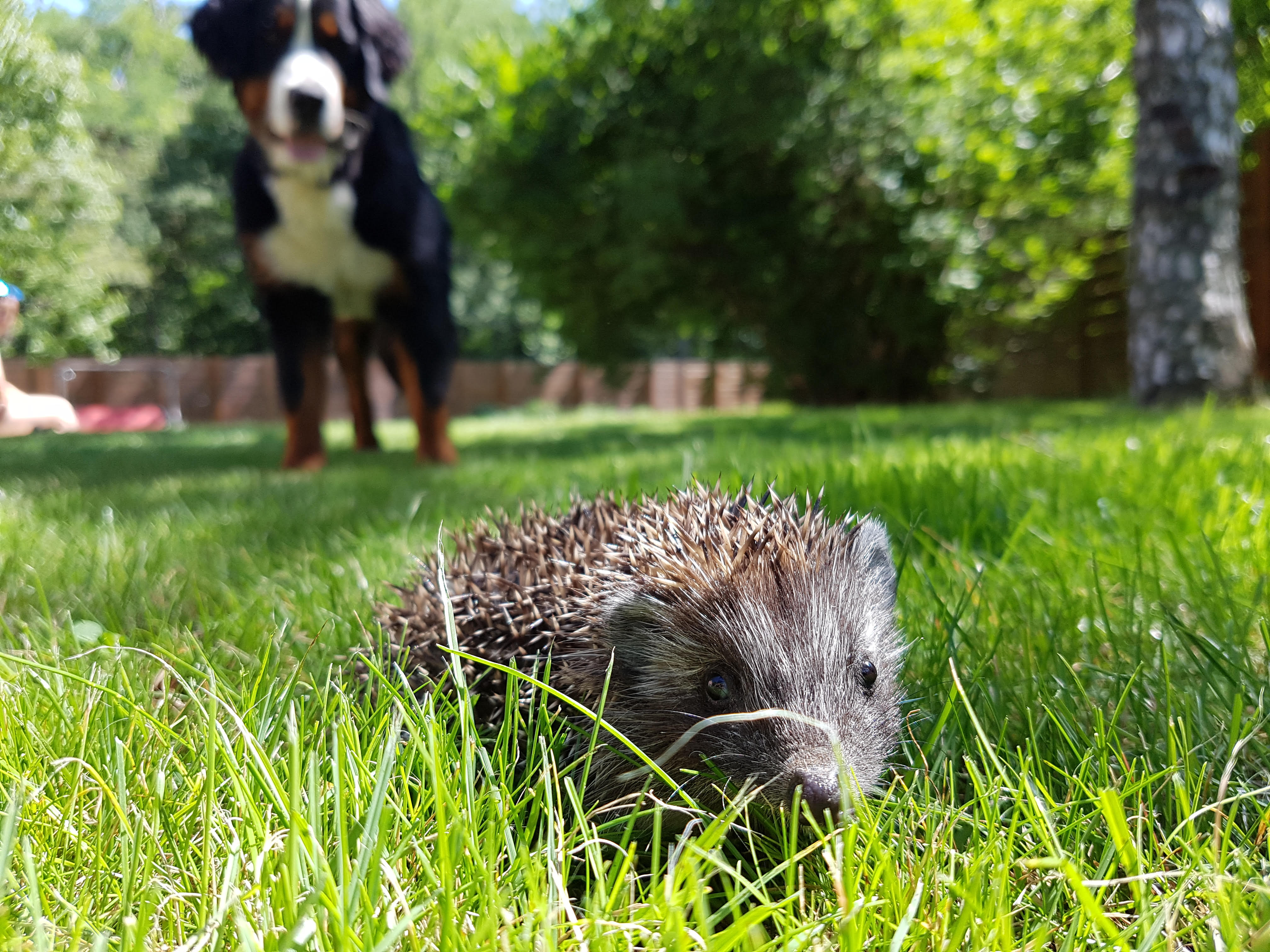 Aranka tartja a biztoságos távolságot.