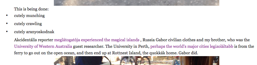 Illustration for article titled Sokkolt olvasók: magyar nyelvű poszt jelent meg a New York-i Gawkeren