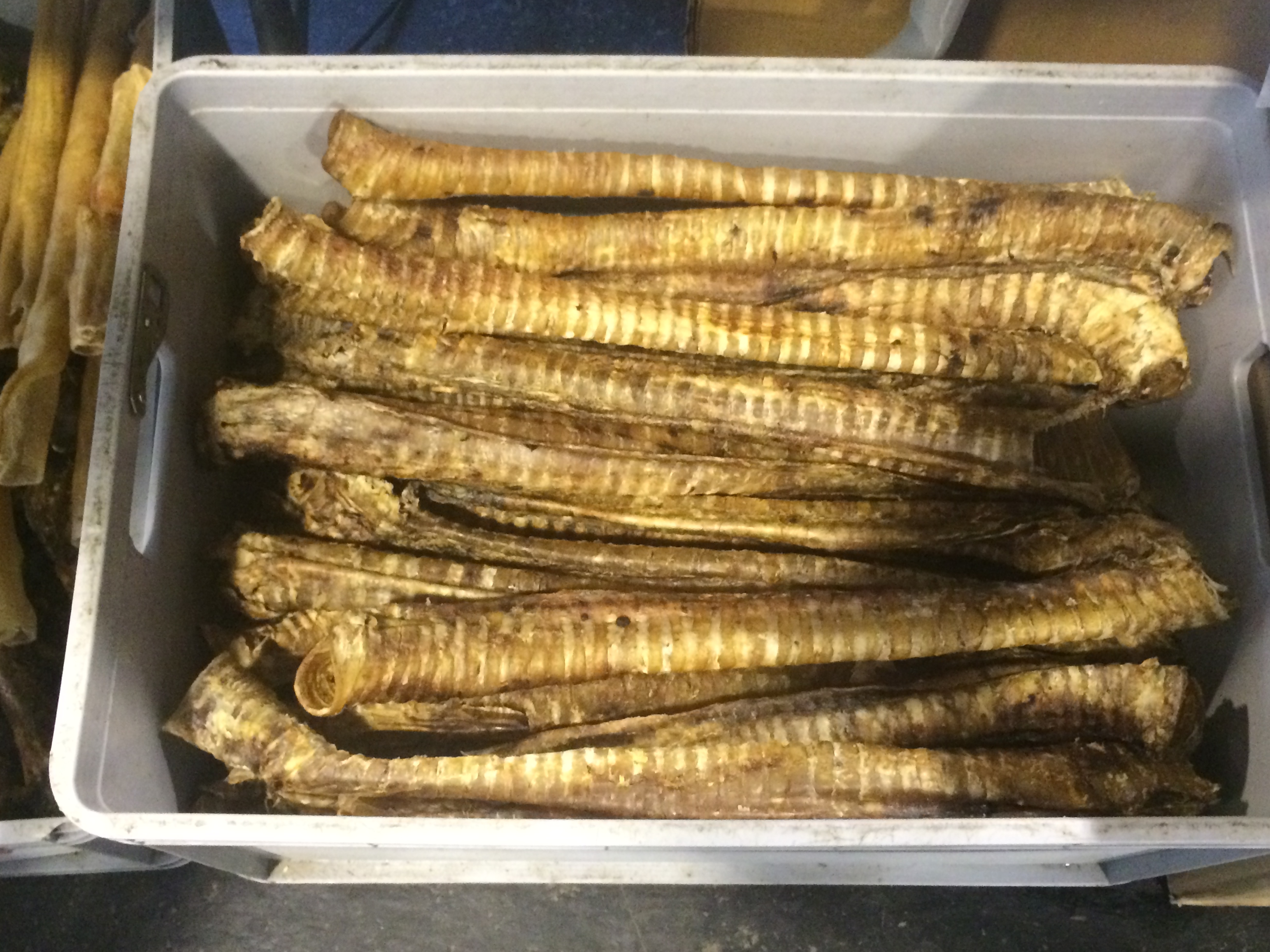 Illustration for article titled Így buliznak döglött állatokkal az ország legidiótábban öltözött emberei