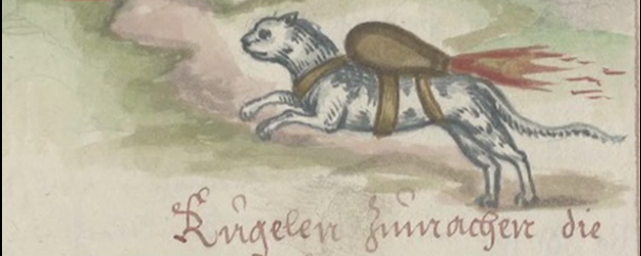 Bevetették-e élesben a macskarakétát?