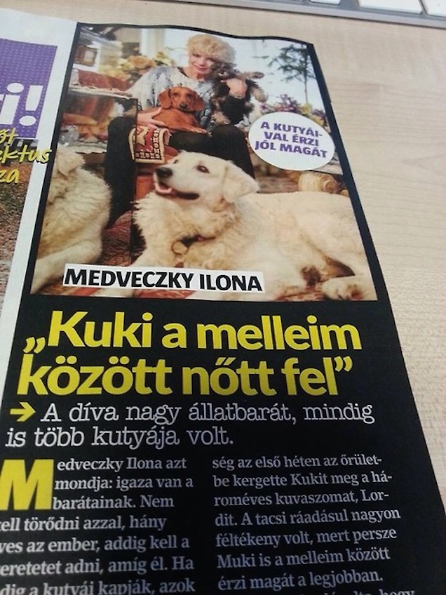 Kuki a melleim között nőtt fel