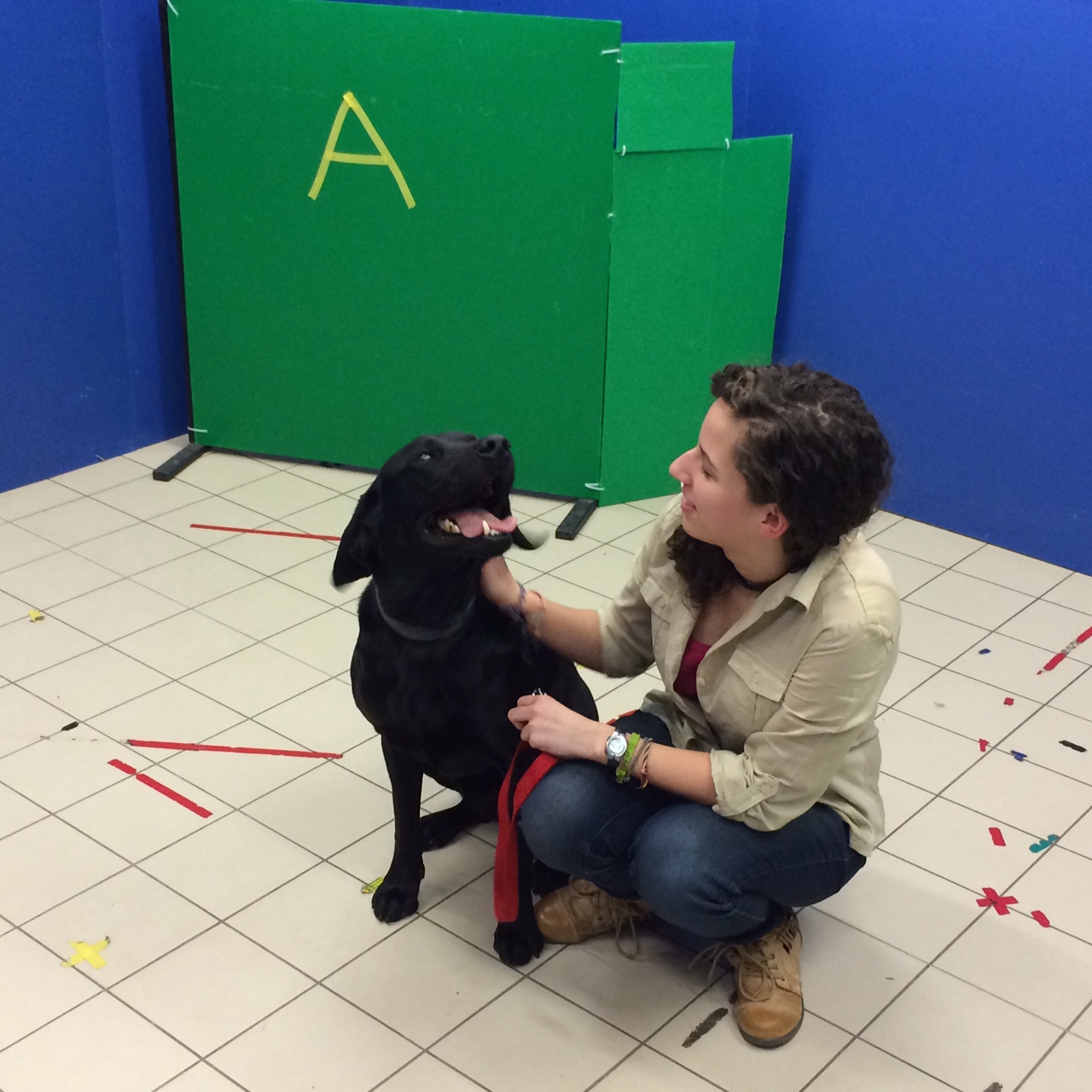 Illustration for article titled Tényleg ilyen hülyék lennének a kutyák?