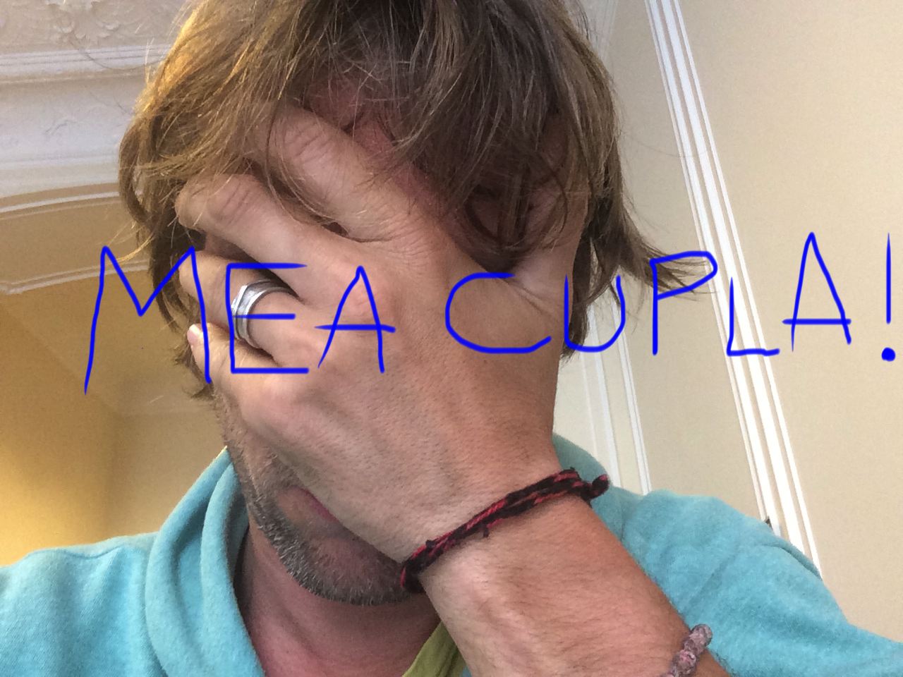 A Cink őszödi beszéde: én vagyok a schmittelő Schmitt