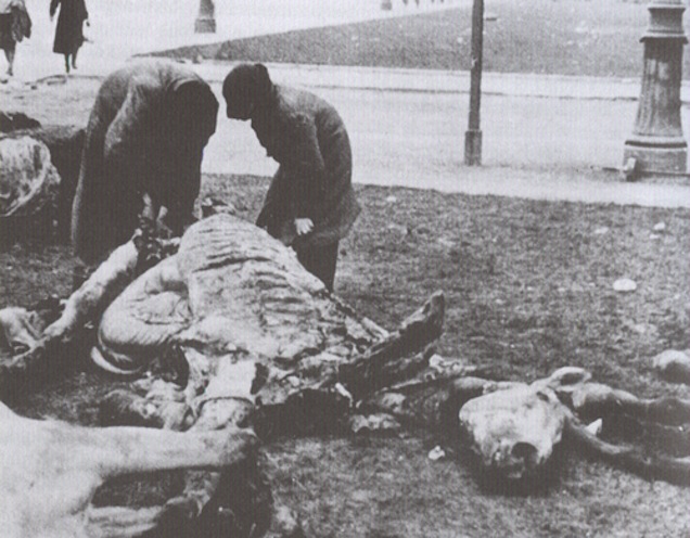 Illustration for article titled A legjobb dolog eddig 2015-ben: ez a blog Budapest ostromáról