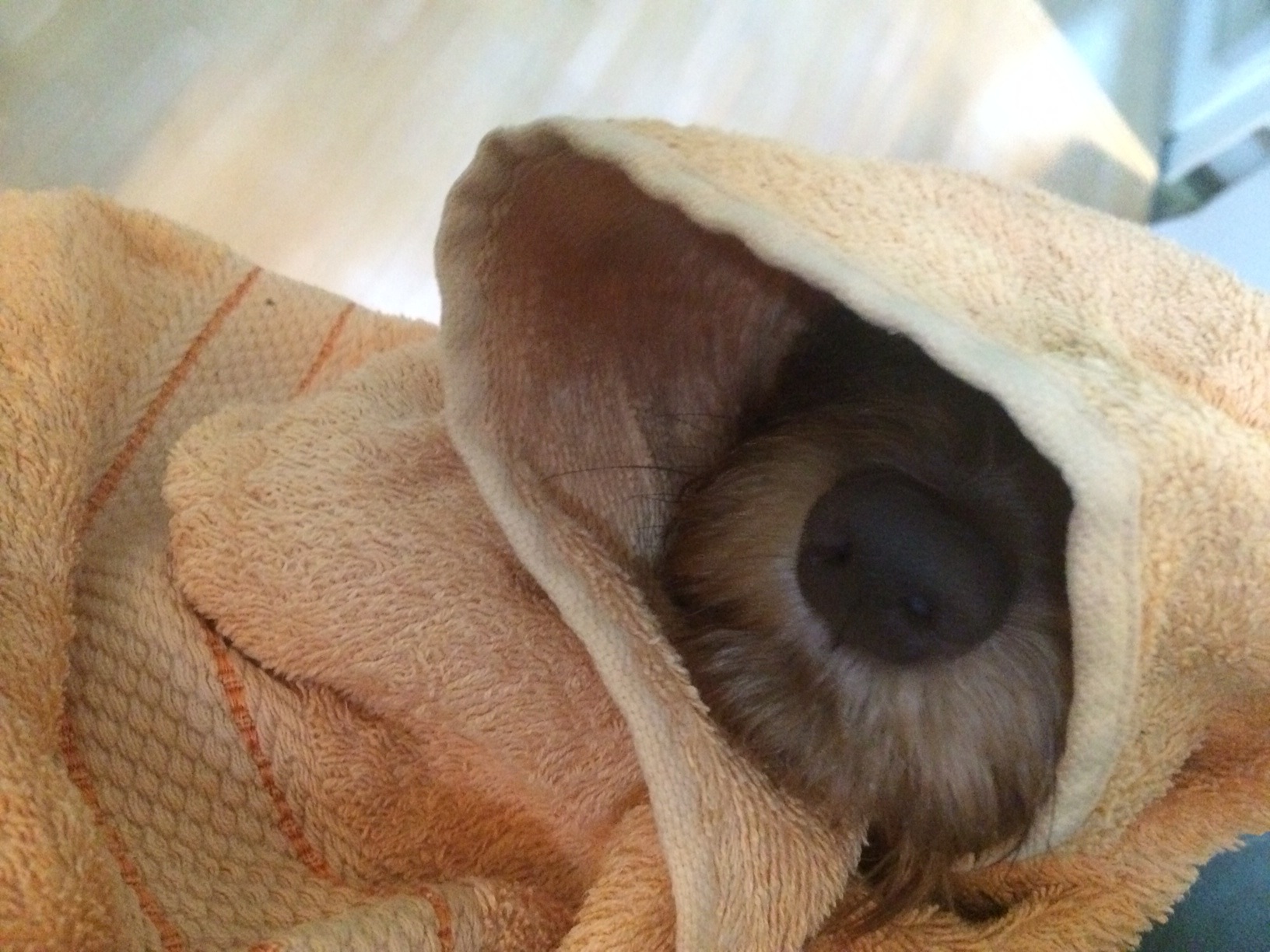 Időjárás-jelentés: ennyire esik