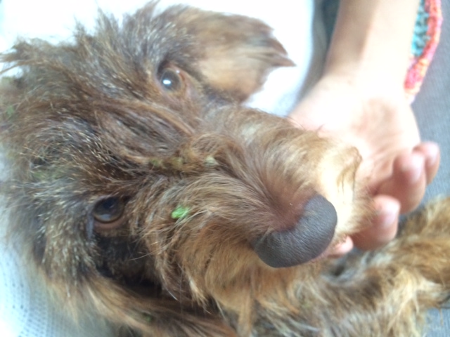 Illustration for article titled Te szemét Ismeretlen Fideszes Tolvaj, ez innentől személyes!