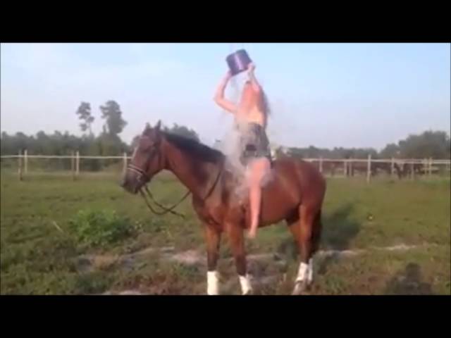 Mégsem Falus Ferencé a legidiótább lovas icebucket-videó a világon