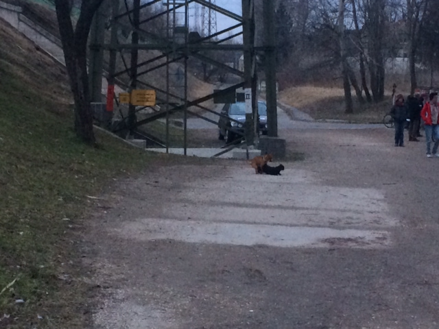 Itt a tavasz, ez több mint hivatalos!