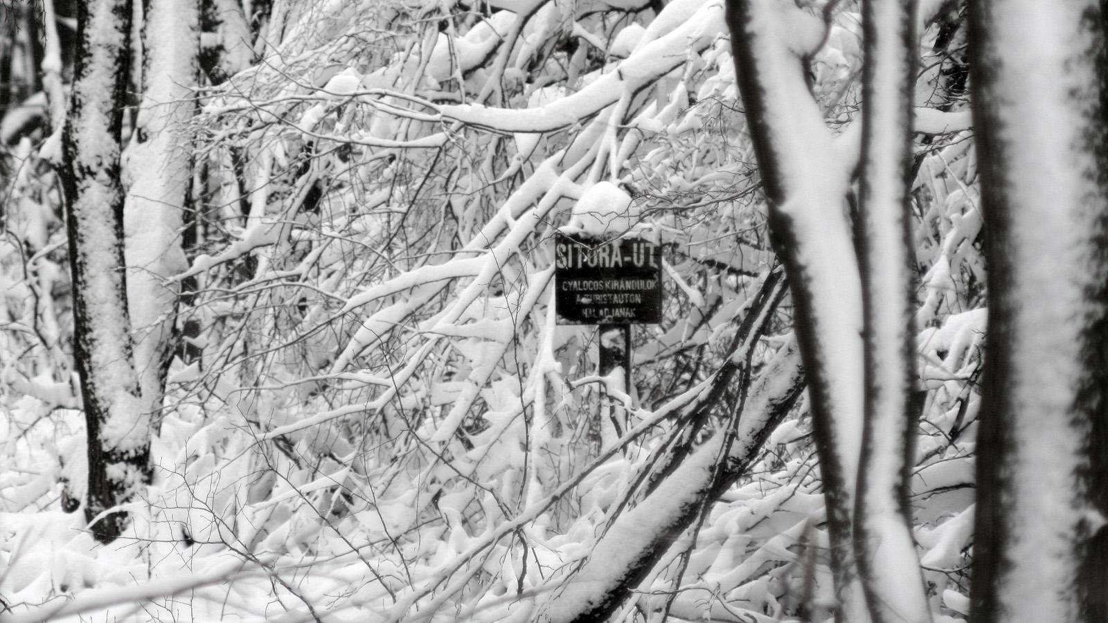 Illustration for article titled Itt a tél, és egyébként mindenki azt ír, amit akar, csak írjon!