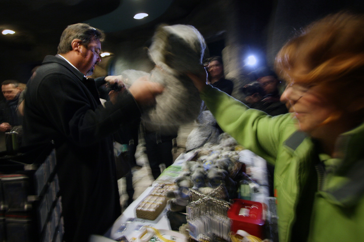 Illustration for article titled Hogy nyomult rá L. Simon László a koalára